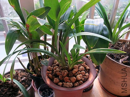 ��Ƭ 037(500).jpg