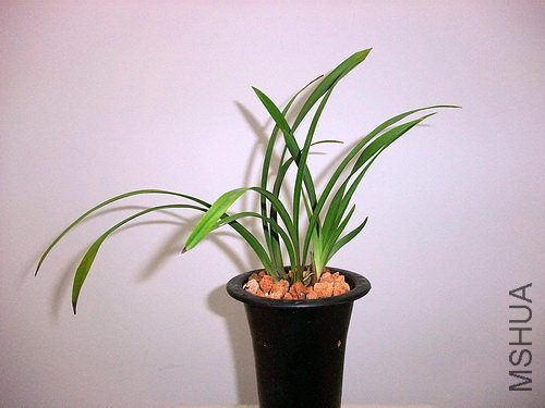 ��Ƭ 008(500).jpg