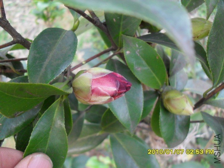 �ʼ������