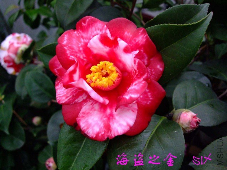 ����֮�� 10-3-8 (1).jpg