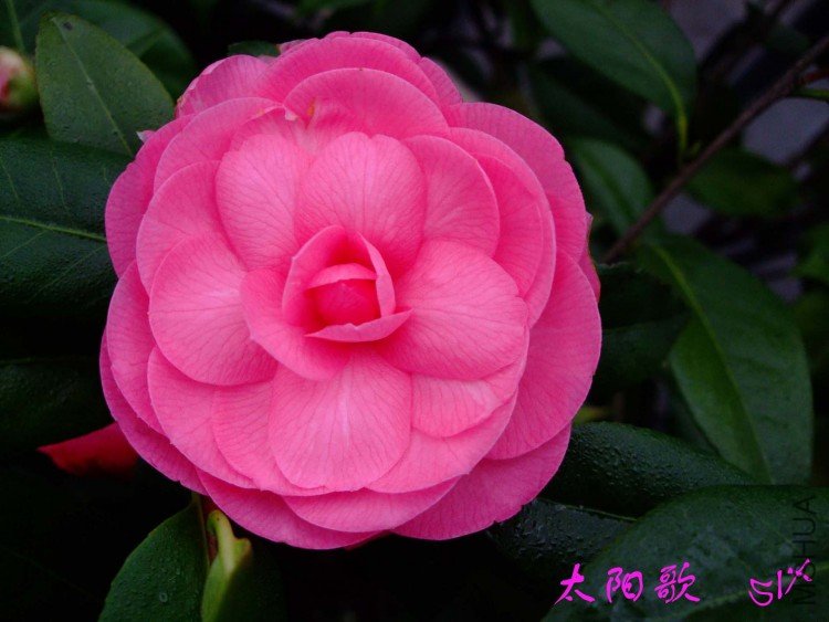 ̫���� 10-3-8 (1).jpg