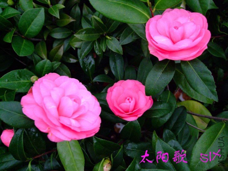 ̫���� 10-3-8 (3).jpg