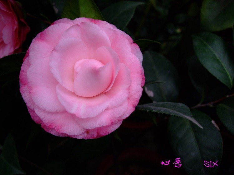 ��Ը 10-3-8 (2).jpg