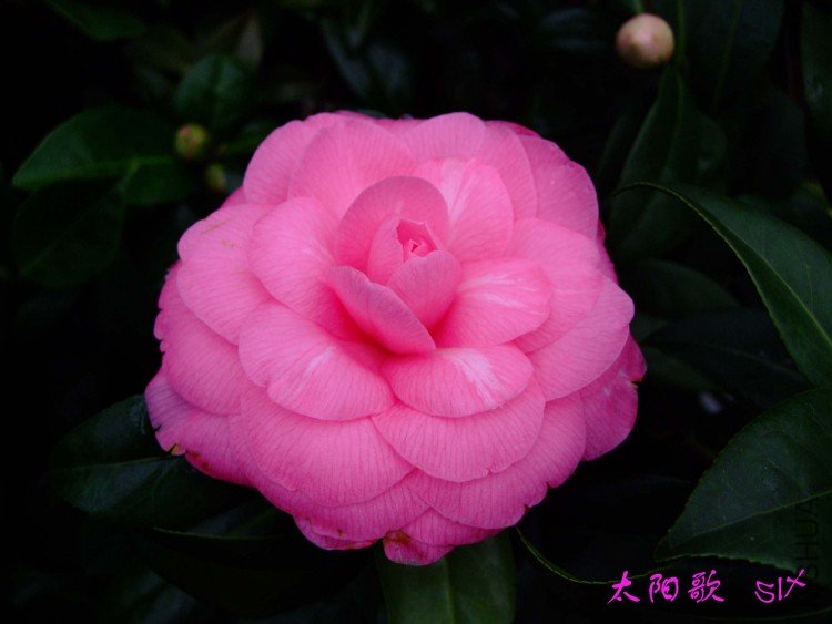 ̫���� 10-3-8 (5).jpg