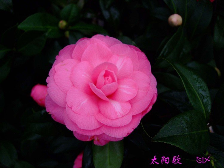 ̫���� 10-3-8 (4).jpg