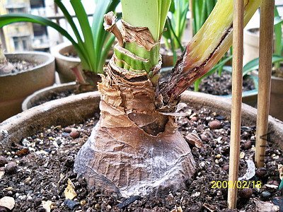 ��Ƭ 2471(400).jpg