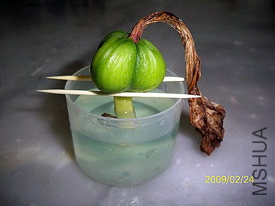 ��Ƭ 2493(400).jpg