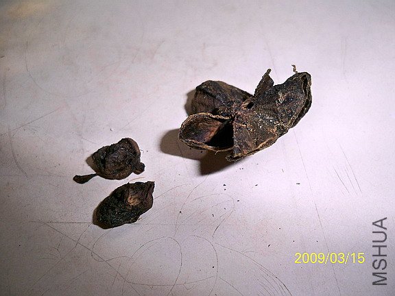 ��Ƭ 098(576).jpg