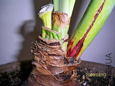 ��Ƭ 2453(400).jpg