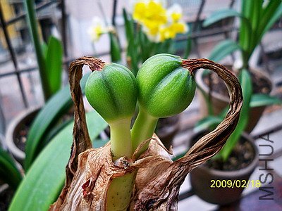 ��Ƭ 2472(400).jpg