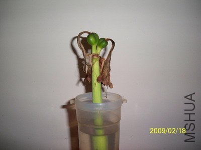 ��Ƭ 2479(400).jpg