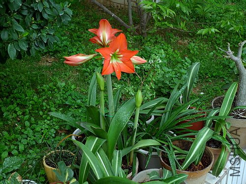 ��Ƭ 5629571(500).jpg