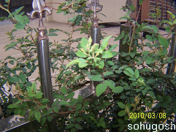100_9151.jpg