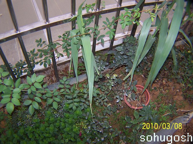 100_9153.jpg