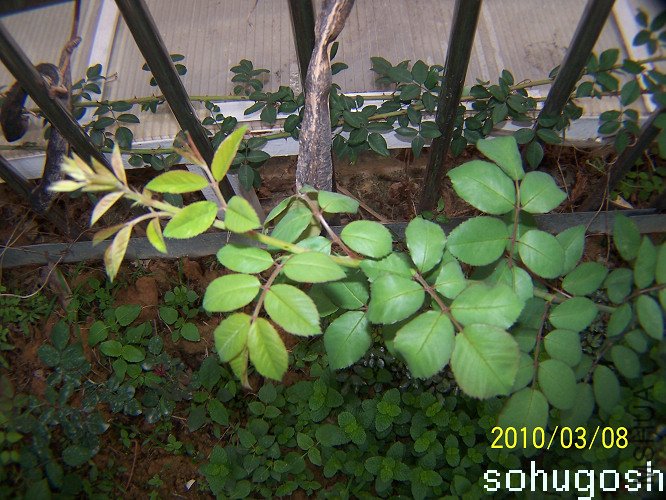 100_9154.jpg