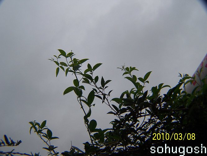 100_9157.jpg