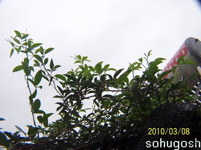 100_9156.jpg