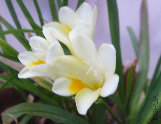 ÷�������Ĳ���