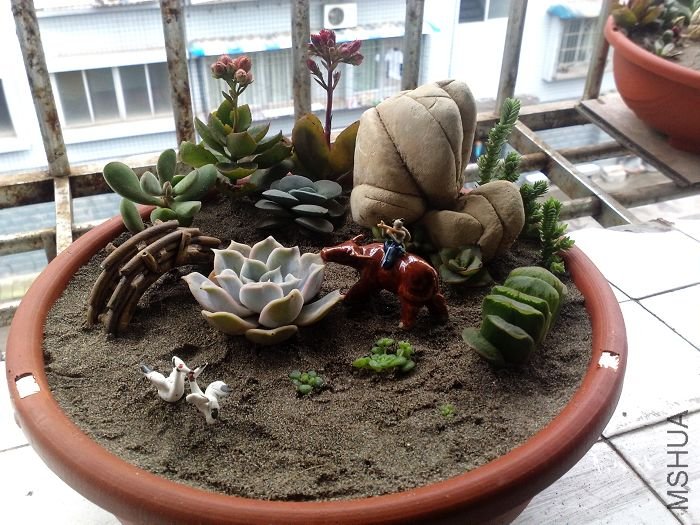 201003081119.jpg
