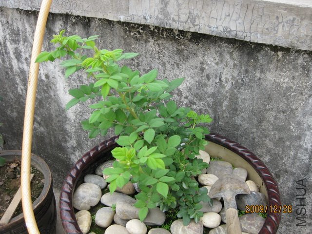 ��Ƭ 193.jpg
