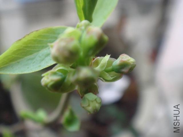 DSC06286.JPG