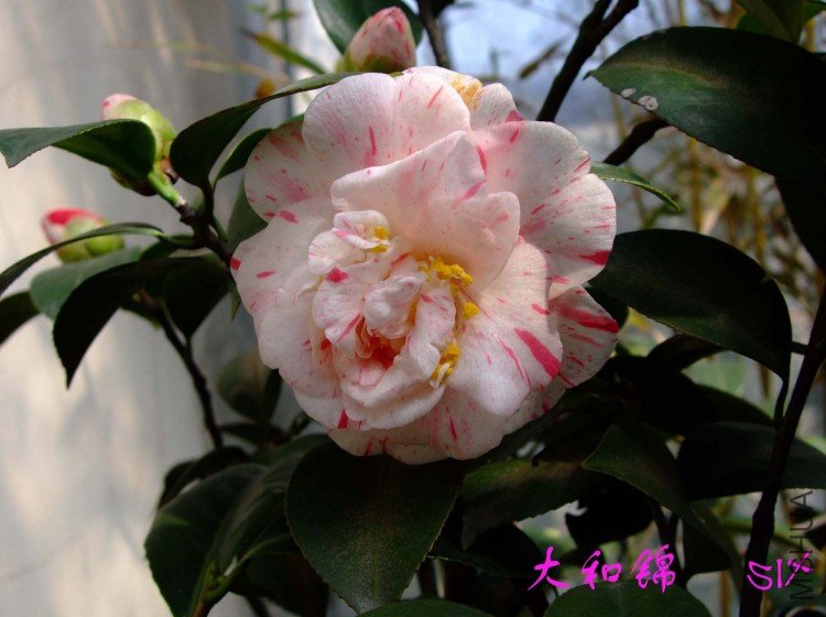 ��ͽ� 10-3-10(1).jpg