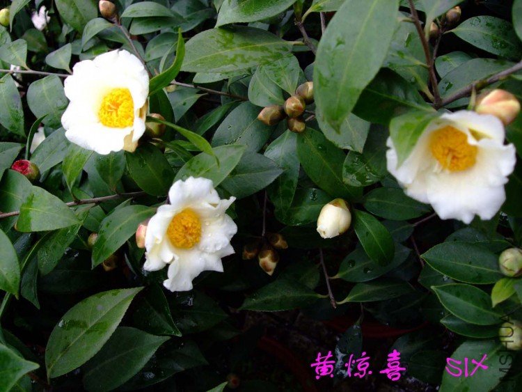 �ƾ�ϲ10-3-9 (2).jpg