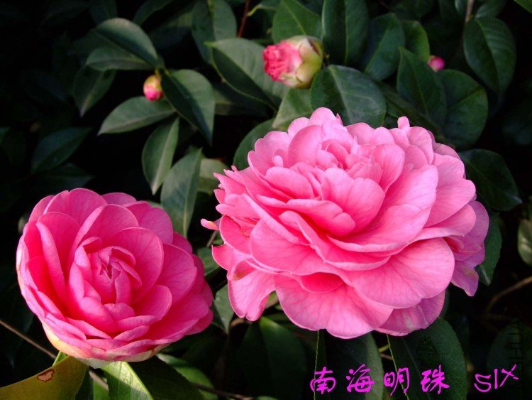 �Ϻ����� 10-3-11(1).jpg