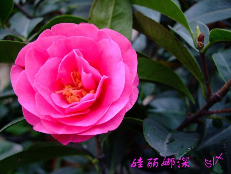 ��������10-3-10 (1).jpg