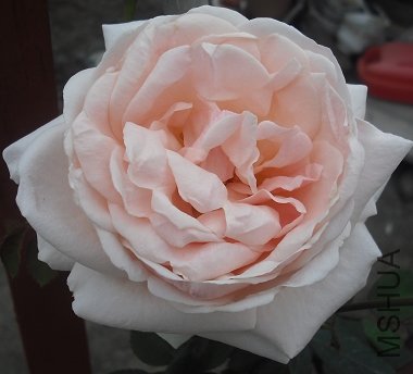 10020111465b65022c15efe101.jpg