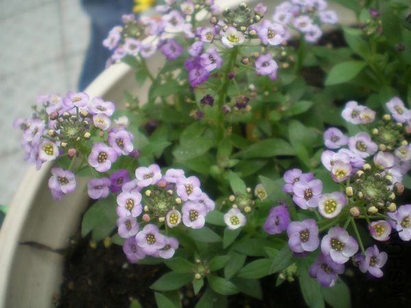 10030813427efbdbddb13529cf.jpg