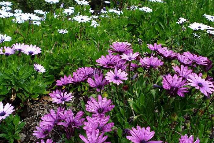 DSC06760 ���۾�.jpg