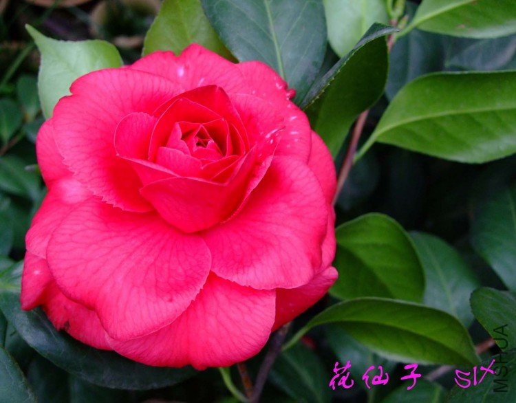 ������ 10-3-12.jpg