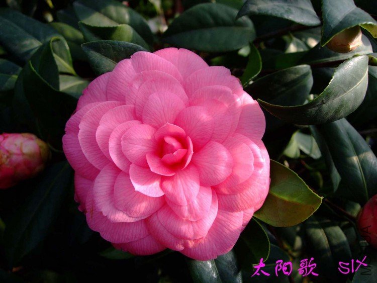 ̫����10-3-12 (2).jpg