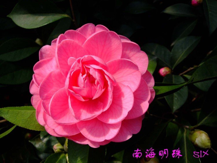 �Ϻ����� 10-3-12 (2).jpg