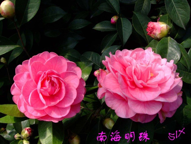 �Ϻ����� 10-3-12 (1).jpg