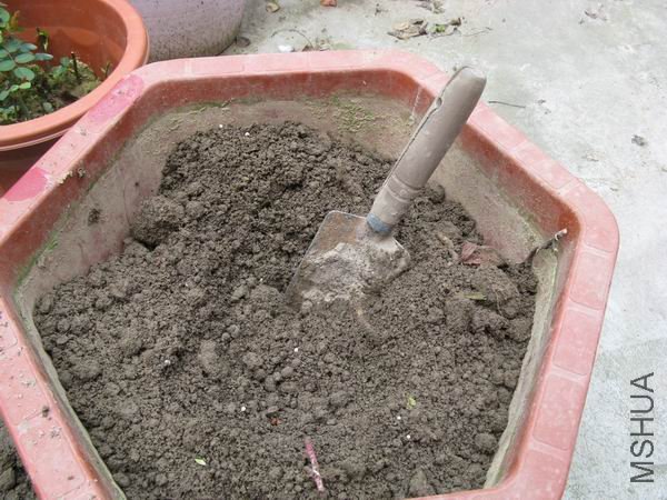 ����������ȣ�ʹ���ͷ��ϻ��