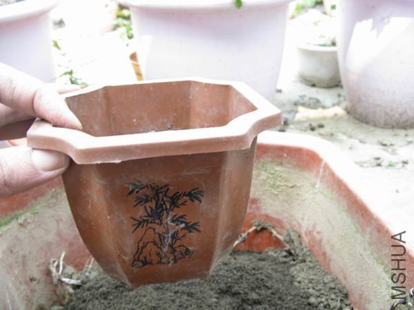 װ�Ƿ۵��裬����������