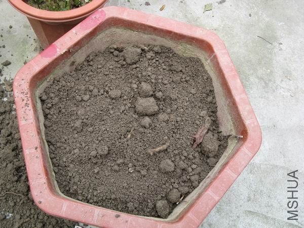 ����һ����