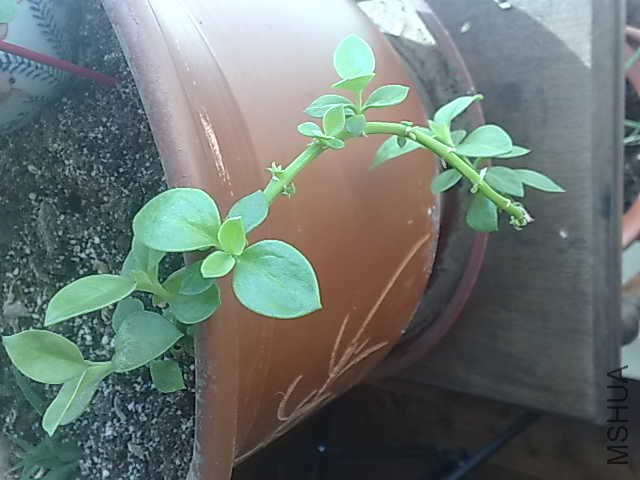 201003121448.jpg