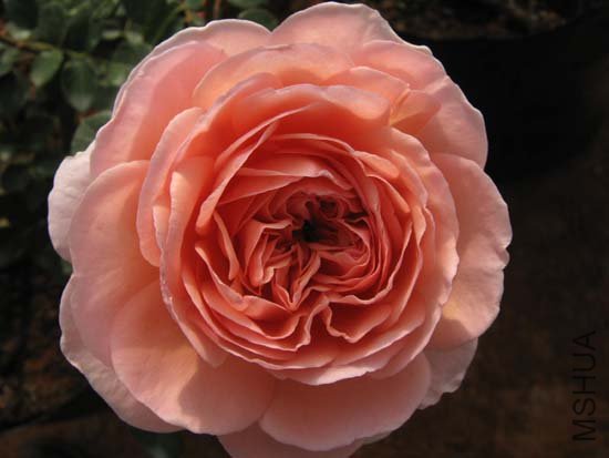 �ǲ��Ǻ���ѽ