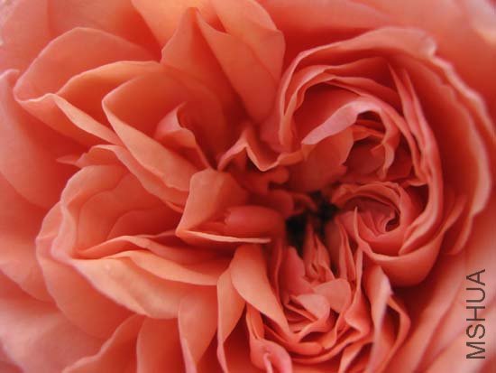 �����Ļ���Ӵ:)