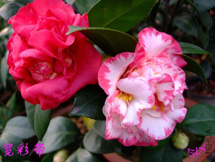 ���ʴ�  10-3-13(1).jpg