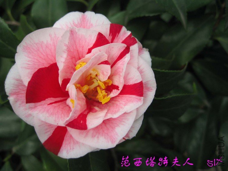 ����  10-3-13 (1).jpg