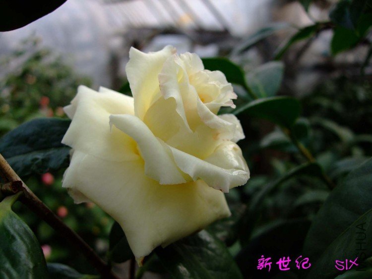 ������10-3-13 (4).jpg