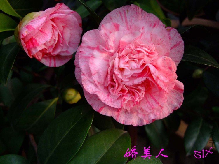 ������ 10-3-13(1).jpg