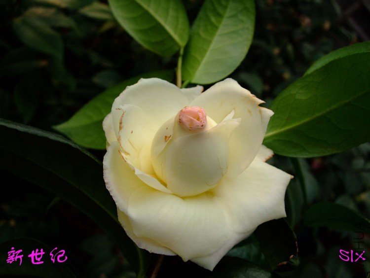 ������ 10-3-13(1).jpg