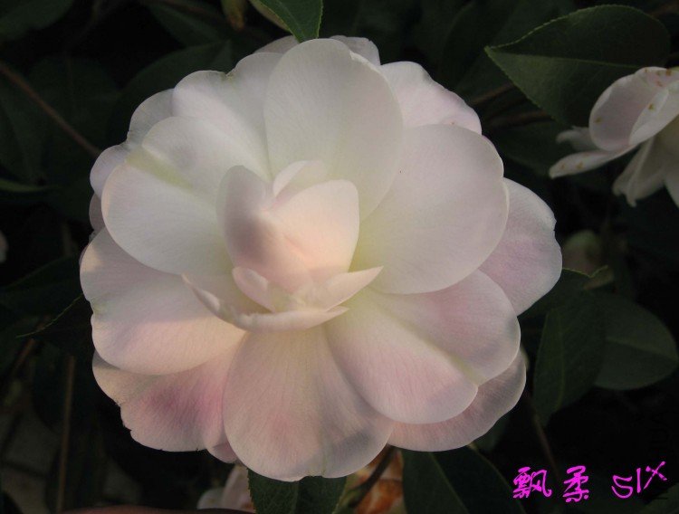 Ʈ�� 10-3-13 (1).jpg