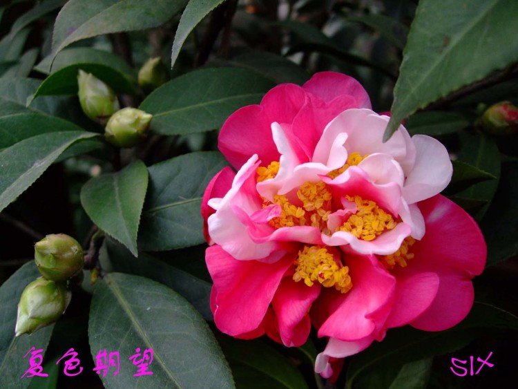 ���� 10-3-13(1).jpg