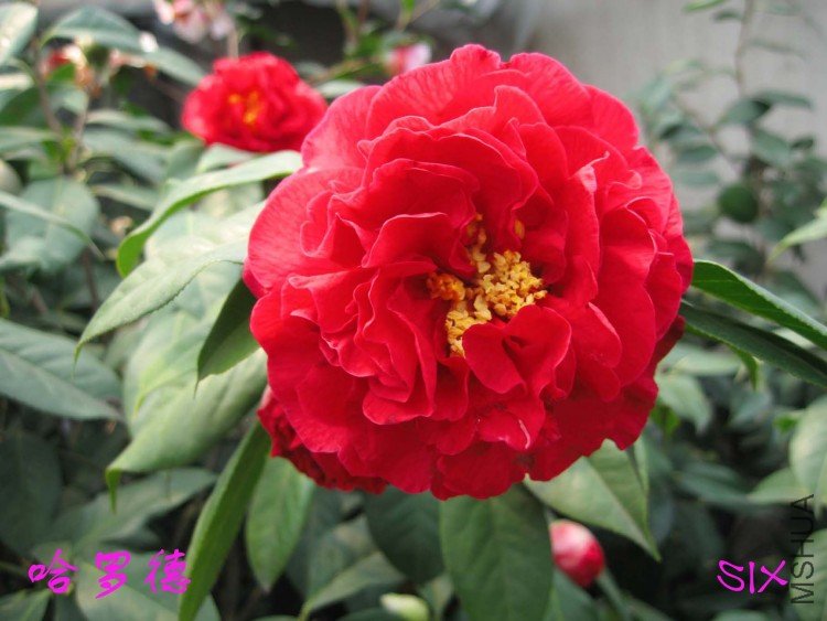 ���޵� 10-3-13 (1).jpg